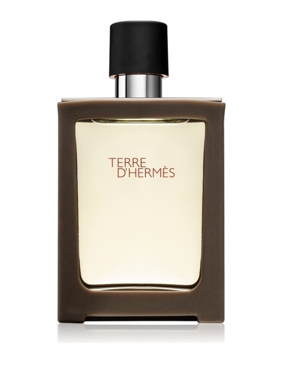 Terre hermes eau de toilette. Духи Hermes Terre. Духи Hermes Terre d'Hermes. Терес Гемес туалетная вода. Terre d'Hermes Eau de Toilette для мужчин.